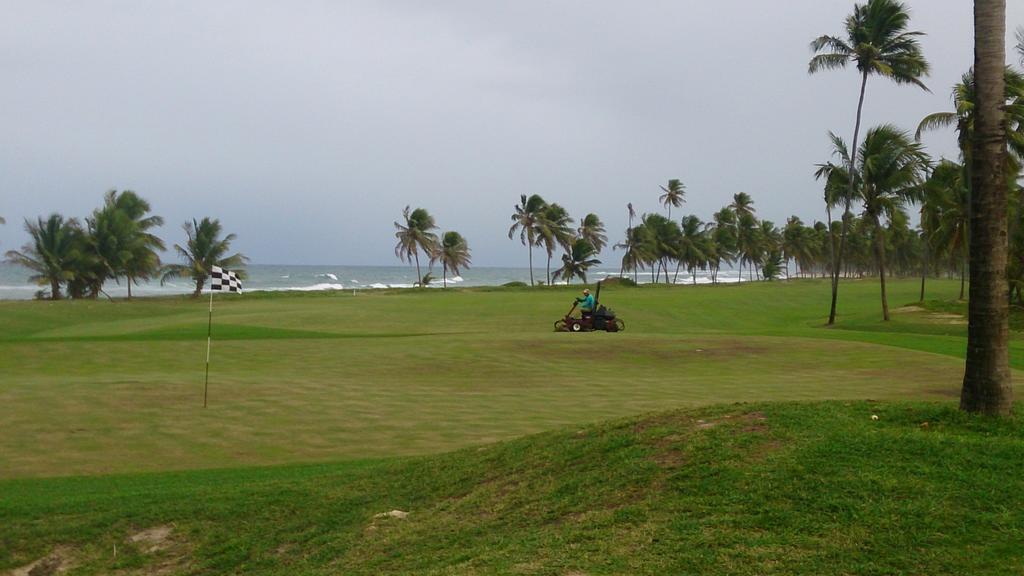 Condominio Mediterraneo - Iberostate Praia do Forte Phòng bức ảnh